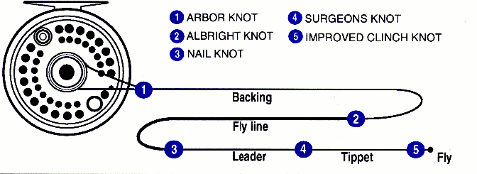 Fly Fishing Leader Size Chart