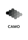 Camo Icon